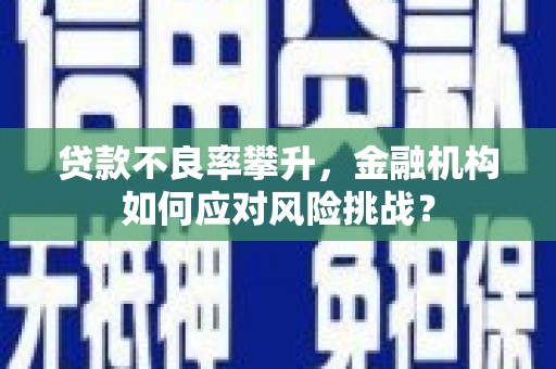 忻府贷款不良率攀升，金融机构如何应对风险挑战？