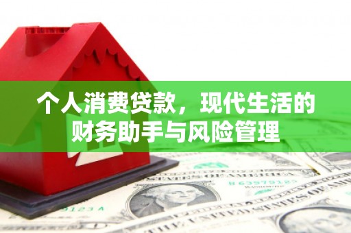 忻府个人消费贷款，现代生活的财务助手与风险管理