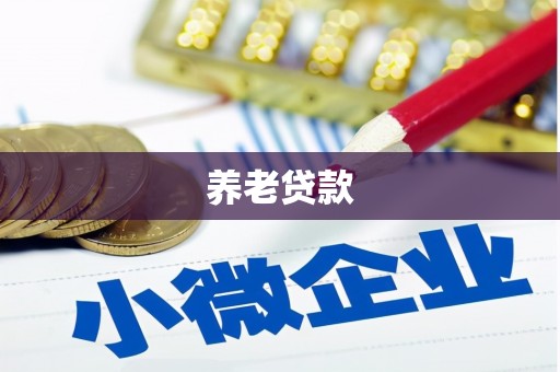 忻府养老贷款