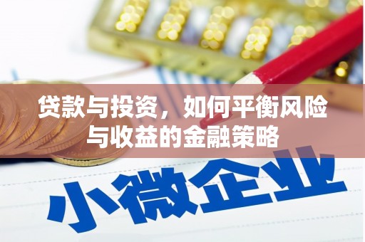 忻府贷款与投资，如何平衡风险与收益的金融策略