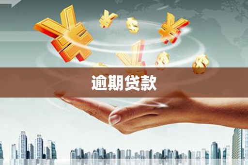 忻府逾期贷款