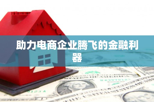 忻府助力电商企业腾飞的金融利器