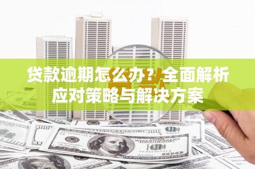 忻府贷款逾期怎么办？全面解析应对策略与解决方案