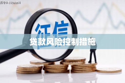 忻府贷款风险控制措施