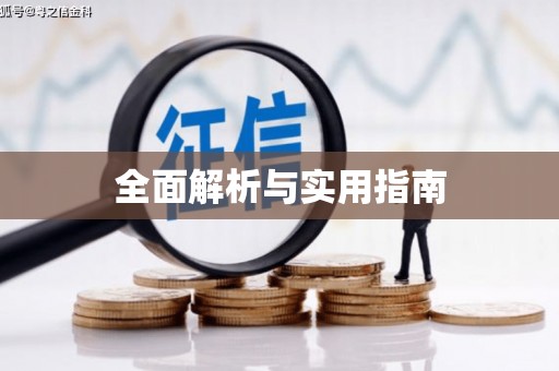 忻府全面解析与实用指南