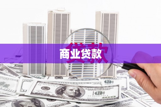 忻府商业贷款