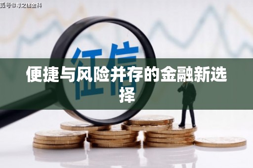 忻府便捷与风险并存的金融新选择