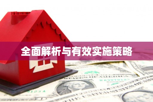 忻府全面解析与有效实施策略