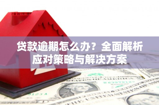 忻府贷款逾期怎么办？全面解析应对策略与解决方案
