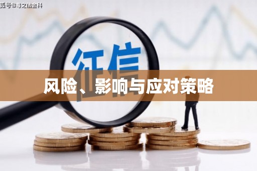 忻府风险、影响与应对策略