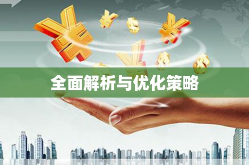 忻府全面解析与优化策略
