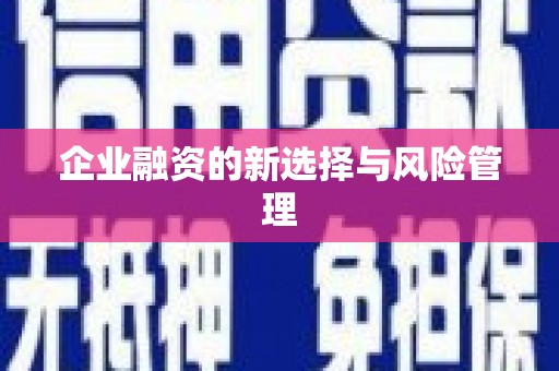 忻府企业融资的新选择与风险管理
