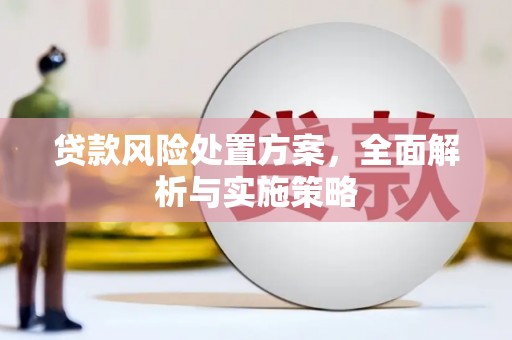 忻府贷款风险处置方案，全面解析与实施策略