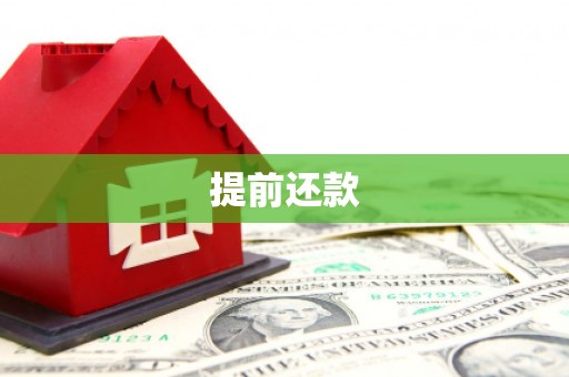 忻府提前还款