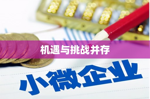 忻府机遇与挑战并存