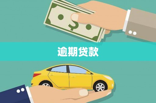 忻府逾期贷款