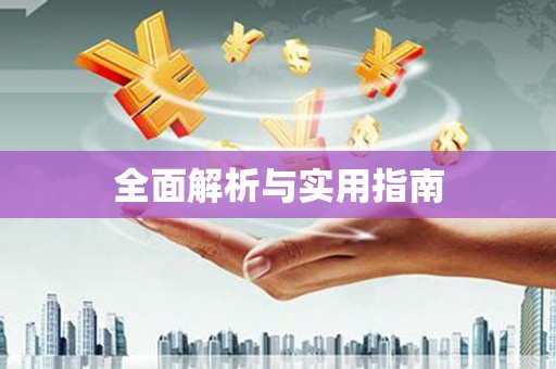 忻府全面解析与实用指南