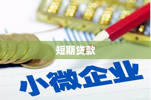 忻府短期贷款