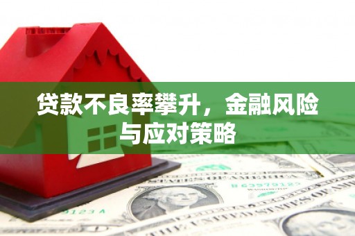忻府贷款不良率攀升，金融风险与应对策略