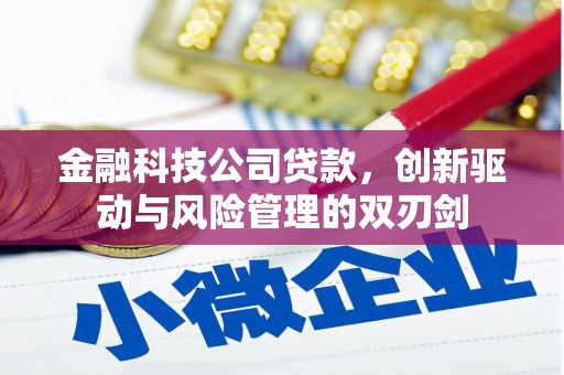 忻府金融科技公司贷款，创新驱动与风险管理的双刃剑